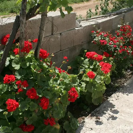 By The Sea Trpanj, Peljesac - 4510