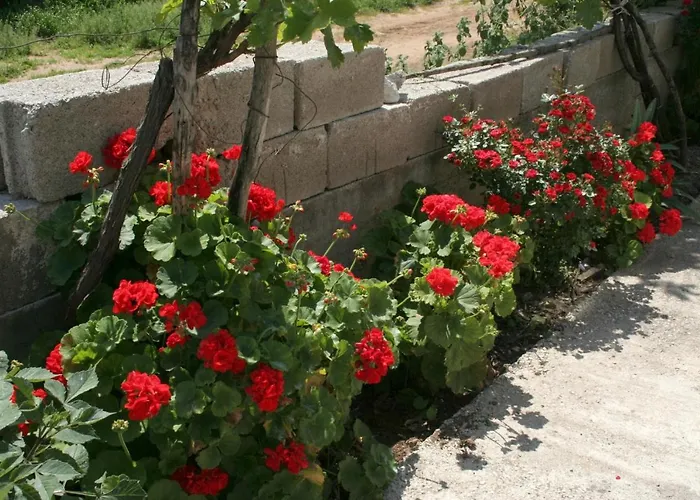 By The Sea Trpanj, Peljesac - 4510